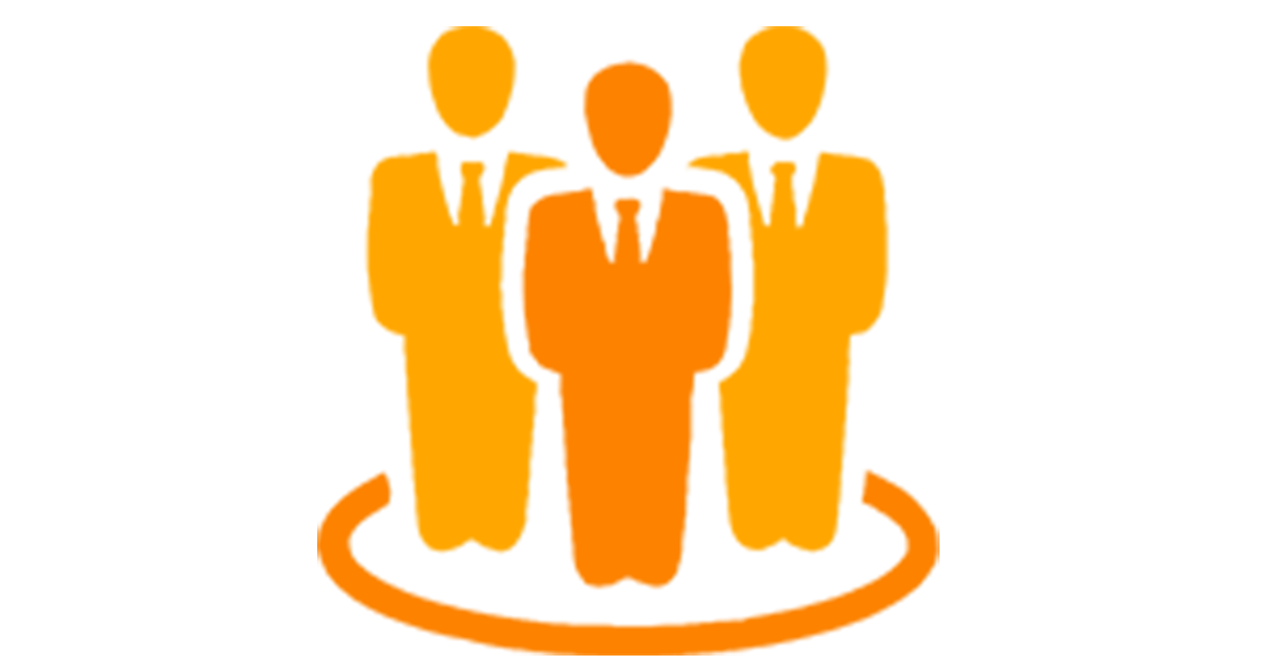 IT Consulting Experience